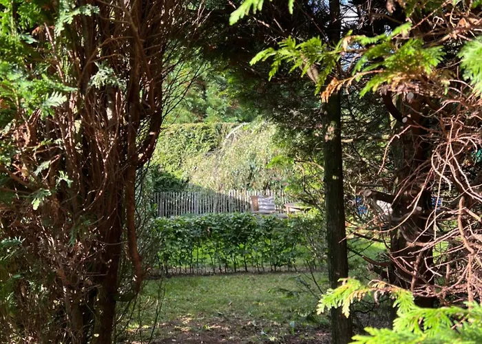 Appartement Im Eifelidyll Montjoie